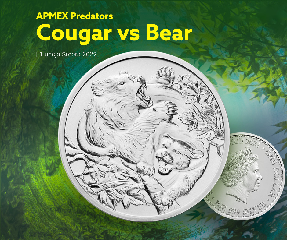 Apex Predators - Cougar vs Bear