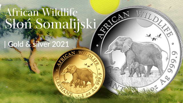 African Wildlife