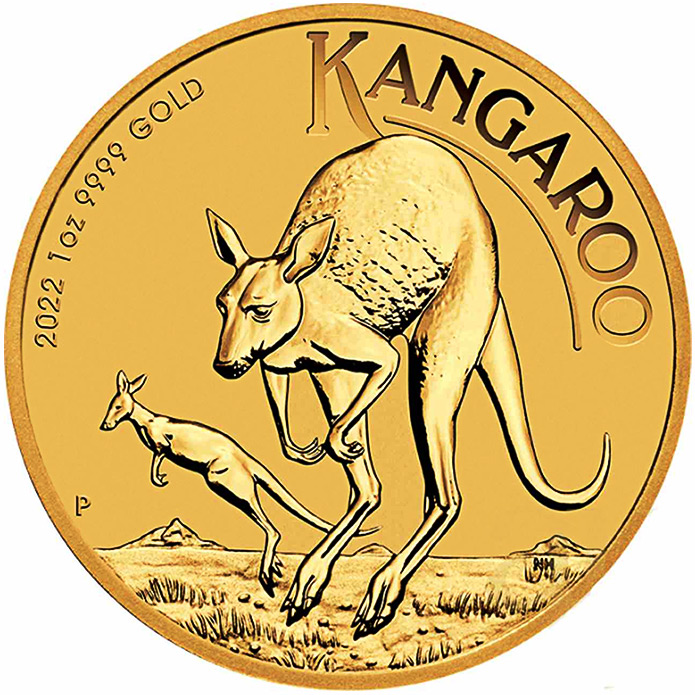 Australian Gold Kangaroo 
(Australijski Złoty Kangur)