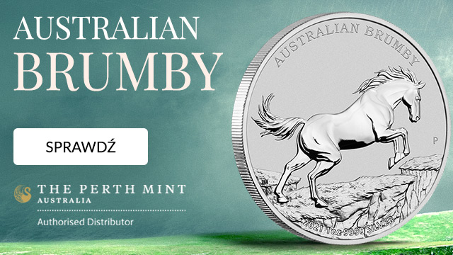 Australijski dziki koń - Brumby