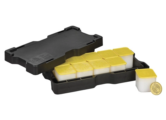 The Royal Tudor Beasts: Lion of England 1 uncja Złota 2022