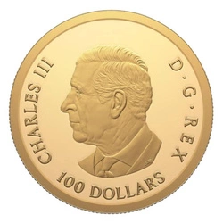 Canada: Lunar Year of the Horse $100 Złoto 2026 Proof