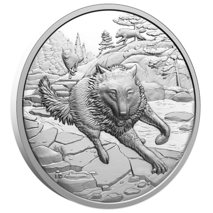 Canada: Animal Portraits: Grey Wolf 1 oz. Fine Silver 2025 Proof