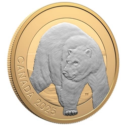 Canada: Animal Portraits - Polar Bear pozłacany $20 Srebro 2025 Proof