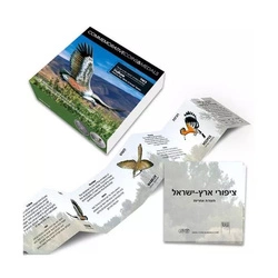 Vulture kolorowany 1/2 uncji Srebra 2018