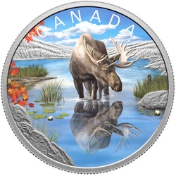 Canada: Wildlife Reflections - Moose kolorowany $20 Srebro 2024 Proof