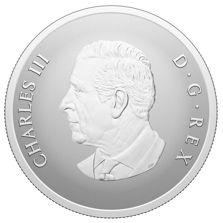 Canada: Remembrance Day kolorowany 1 uncja Srebra 2025 Proof