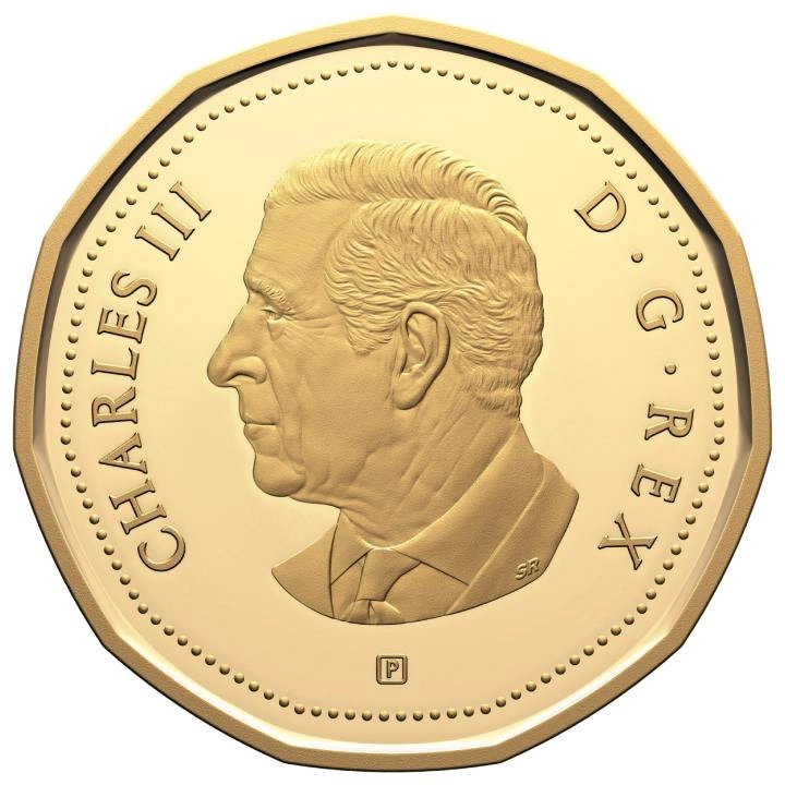 Zestaw Canada: 100th Anniversary of the Royal Canadian Air Force 7 srebrnych monet 2024 Proof