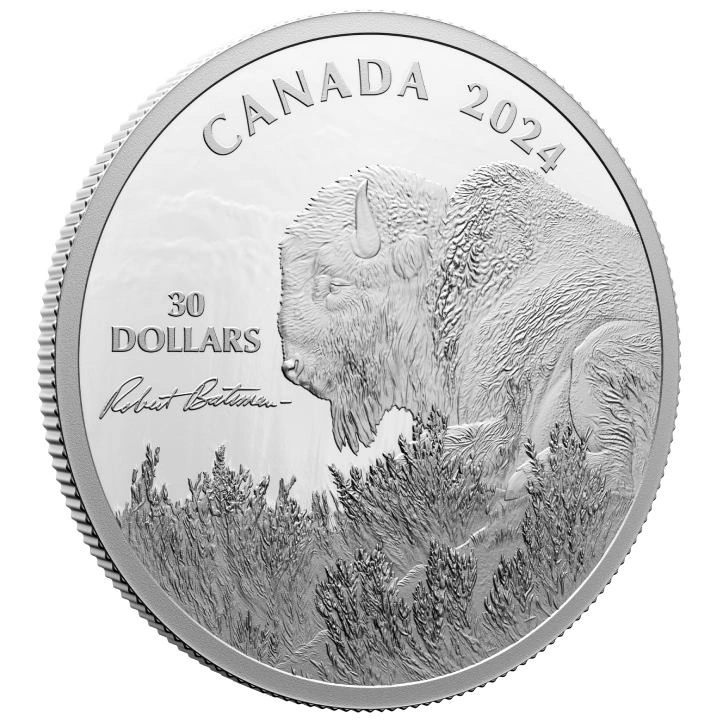 Canada: Weather Watch - Bison $30 Srebro 2024 Proof