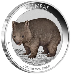 Australijski Wombat kolorowany 1 uncja Srebra 2022