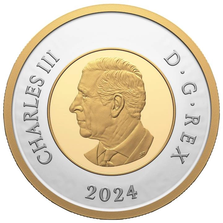 Zestaw Canada: 100th Anniversary of the Royal Canadian Air Force 7 srebrnych monet 2024 Proof