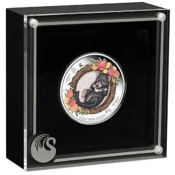 Dreaming Down Under: Śpiący Diabeł Tasmański kolorowany 1/2 uncji Srebra 2021 Proof