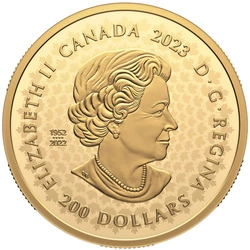 Canada: Great Hunters - Grizzly Bear $200 Złoto 2023 Proof Ultra High Relief Coin