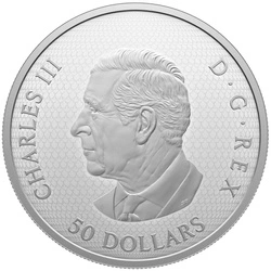 Canada: The Dragonfly and the Bloom pozłacany $50 Srebro 2024 Proof