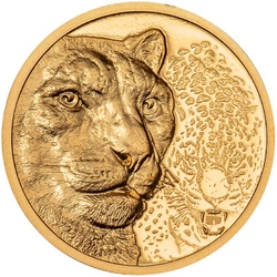 Mongolia: Snow Leopard 1/10 uncji Złota 2024 Proof Ultra High Relief