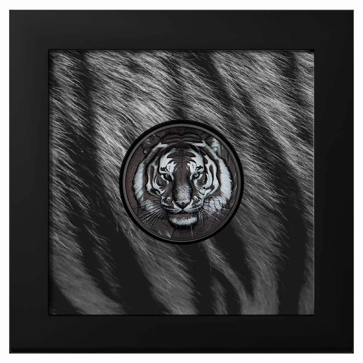 Cook Islands: Black and White - Tiger 1 uncja Srebra 2025 Obsidian Black Proof