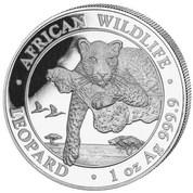 African Wildlife: Leopard 1 uncja Srebra 2020