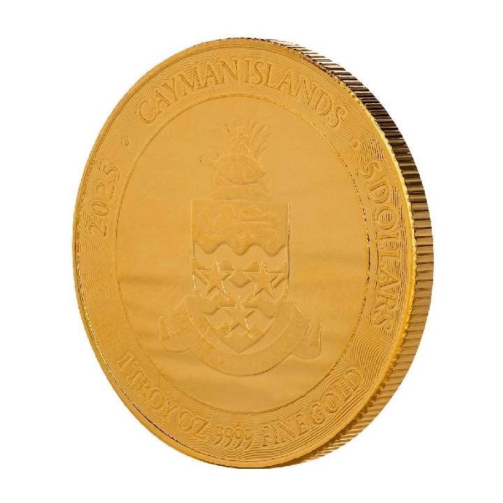 Cayman Islands: Loggerhead Turtle 1 uncja Złota 2025