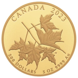 Canada: Beloved Maple Leaf 5 uncji Złota 2023 Proof