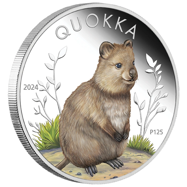 Quokka kolorowana 1 uncja Srebra 2024 Proof
