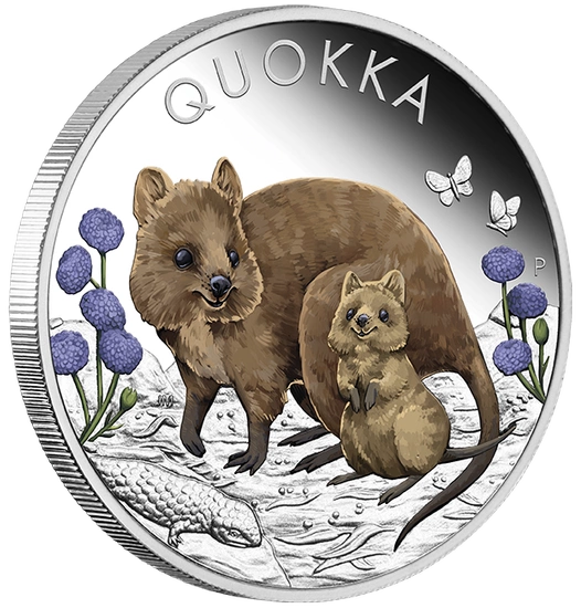 Quokka kolorowana 1 uncja Srebra 2022 Proof
