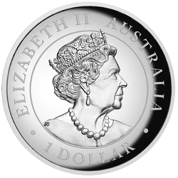 Australijski Kangur kolorowany 1 uncja Srebra 2022 Proof High Relief