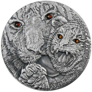 Wildlife Family Tigers 1 uncja Srebra 2013 Crystal Proof Antiqued