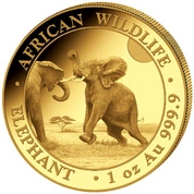 African Wildlife: Słoń Somalijski 1 uncja Złota 2024