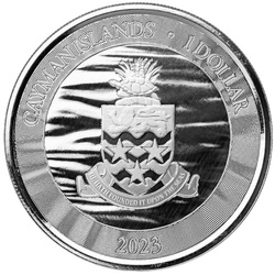 Cayman Islands: Loggerhead Turtle kolorowany 1 uncja Srebra 2023 Proof