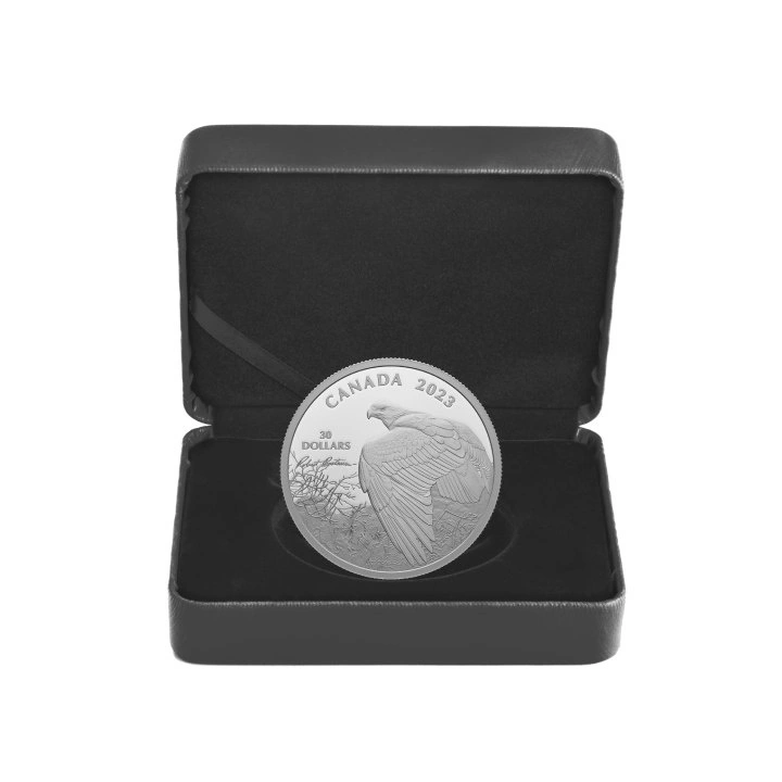 Canada: Vantage Point – Bald Eagle 2 uncje Srebra 2023 Proof