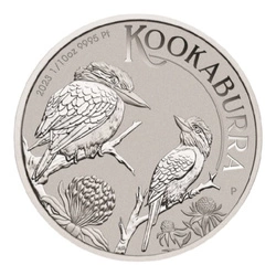 Kookaburra 1/10 uncji Platyny 2023