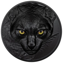Palau: Hunters by Night - Ocelot kolorowany 2 uncje Srebra 2024 Obsidian Black 