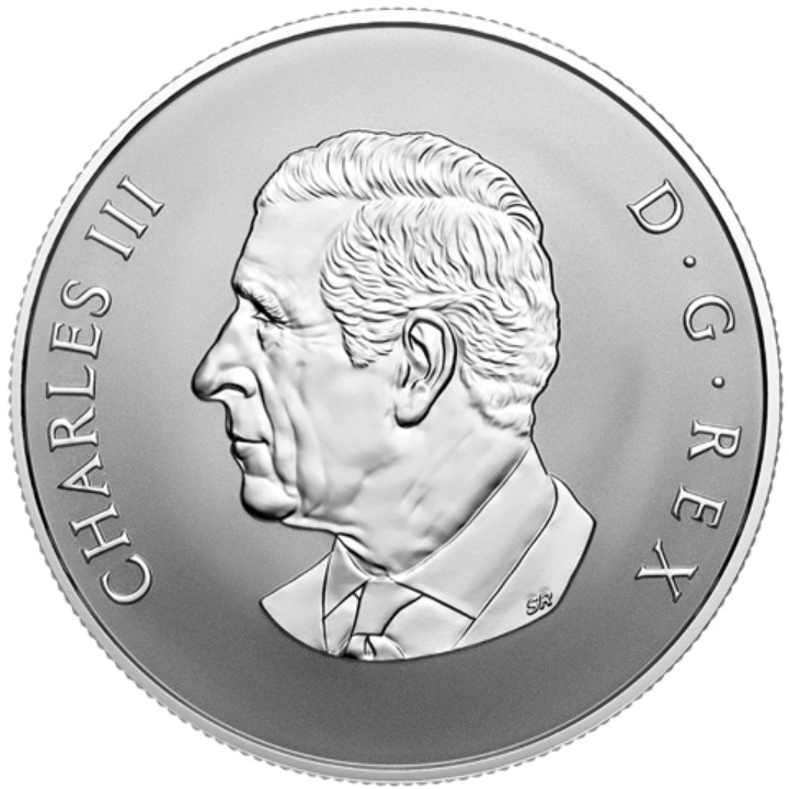 Canada: Welcome to the World $10 Srebro 2025 Reverse Proof