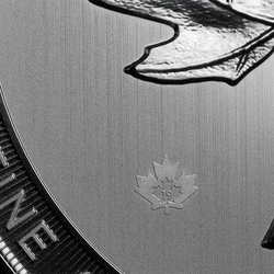 Kanadyjski Liść Klonowy 10 uncji Srebra 2019