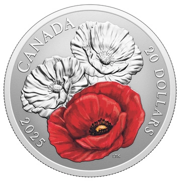 Canada: Remembrance Day kolorowany 1 uncja Srebra 2025 Proof