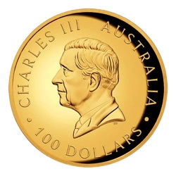 Koala 1 uncja Złota 2025 Proof High Relief