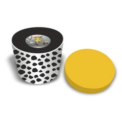 Niue: Fairy Tales - Monkey Girl kolorowana $1 Srebro 2022 High Relief Antiqued Coin