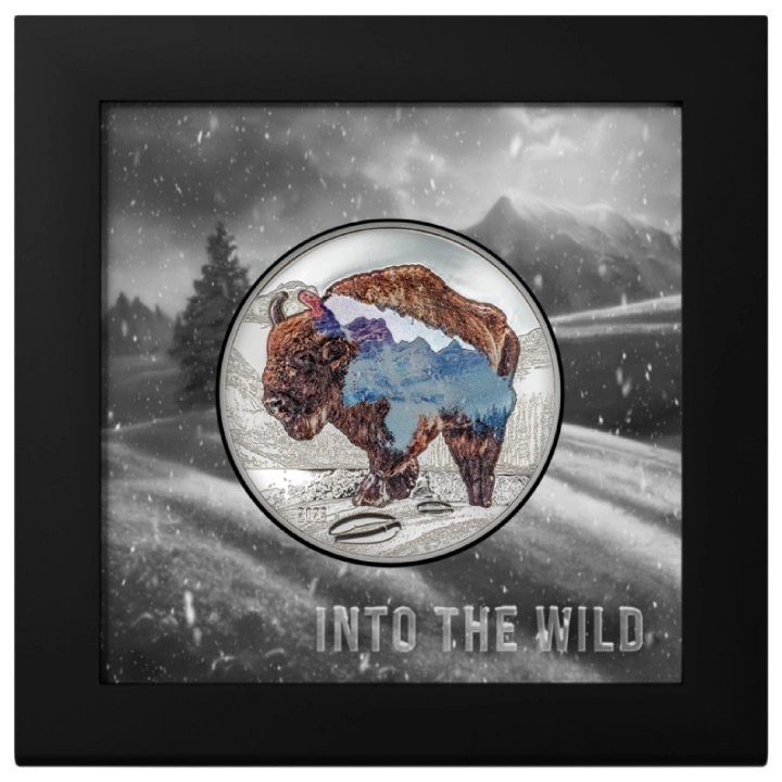 Mongolia: Into the Wild - Bison kolorowany 2 uncje Srebra 2023 Proof Ultra High Relief