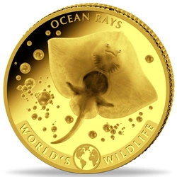 Congo: World‘s Wildlife - Ocean Rays 0,5 grama Złota 2023 Proof