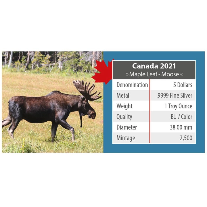 Canada: On the Trails of Wildlife - Maple Leaf "Moose" kolorowany 1 uncja Srebra 2021