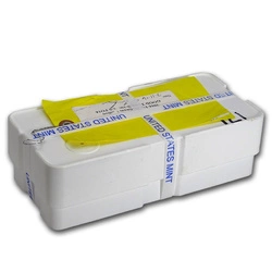 Amerykański Orzeł 1 uncja Platyny 2016