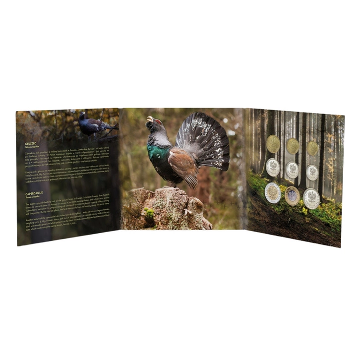 Polskie Monety Obiegowe "Głuszec"- zestaw monet 1 gr - 5 zł 2008