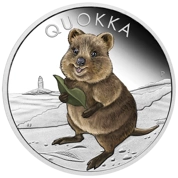 Quokka 1 uncja Srebra 2021 Kolorowany Proof