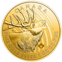Zew natury: Jeleń Wapiti 1 uncja Złota 2017