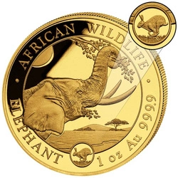 African Wildlife: Słoń Somalijski 1 uncja Złota 2023 Privy Mark 'Year of the Rabbit'