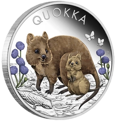 Quokka kolorowana 1 uncja Srebra 2022 Proof