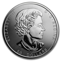 Kanadyjski Liść Klonowy 10 uncji Srebra 2019