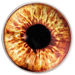 Palau: Coloreyezed – Hazel Brown kolorowany 1 uncja Srebra 2023 Proof