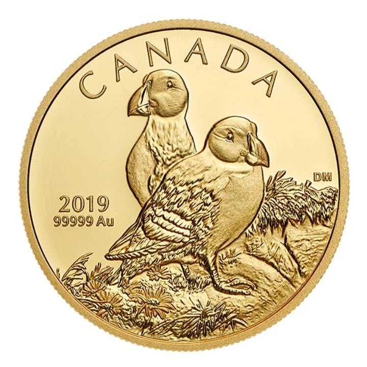 Canada: Atlantic Puffins 1 uncja złota 2019 Proof