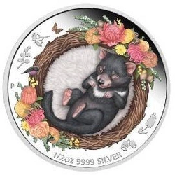 Dreaming Down Under: Śpiący Diabeł Tasmański kolorowany 1/2 uncji Srebra 2021 Proof